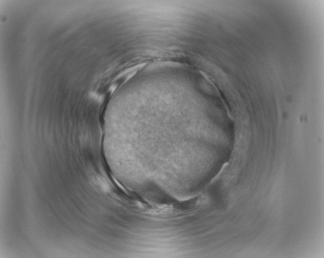 X0000052930720200507221121