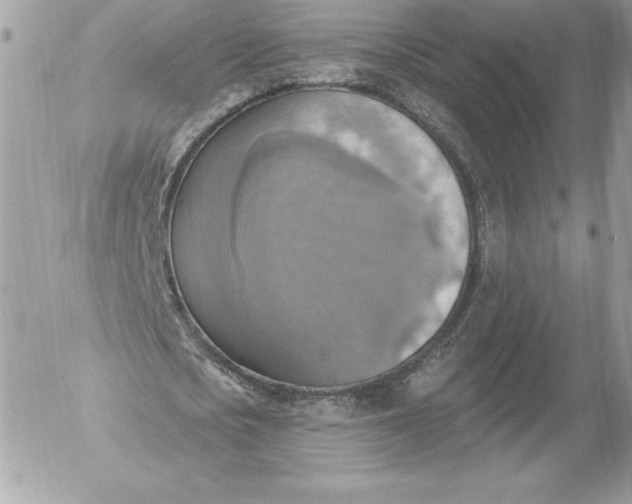 X0000052930721200507221121