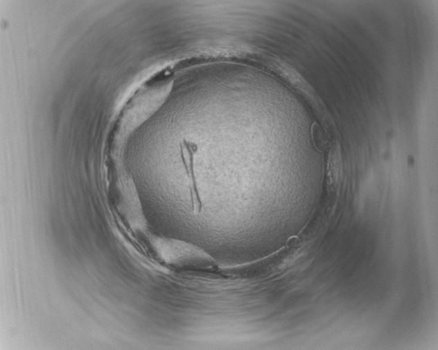 X0000052930722200507221121