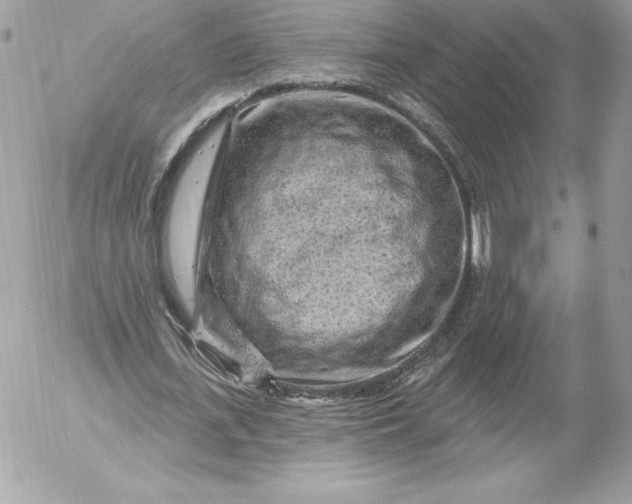 X0000052930723200507221121