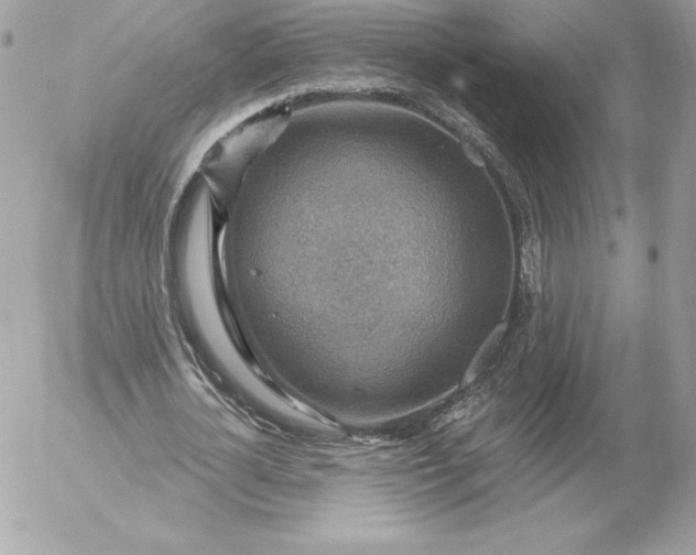 X0000052930724200507221121