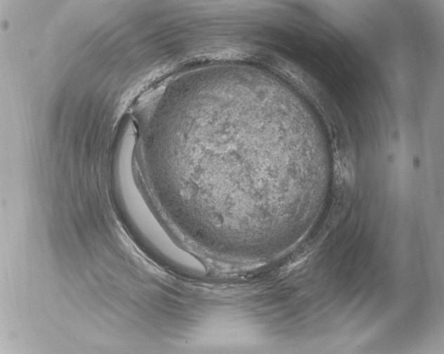 X0000052930725200507221121