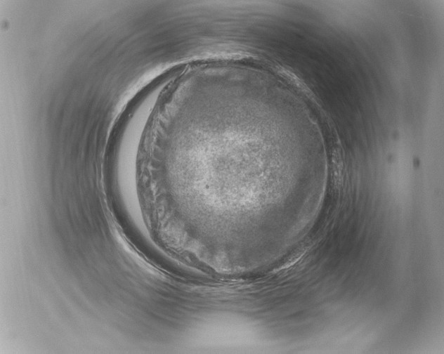 X0000052930726200507221121