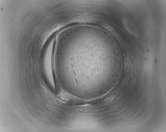 X0000052930727200507221121