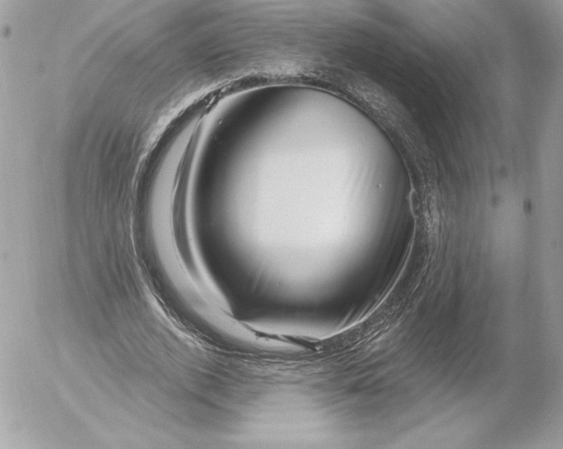 X0000052930728200507221121