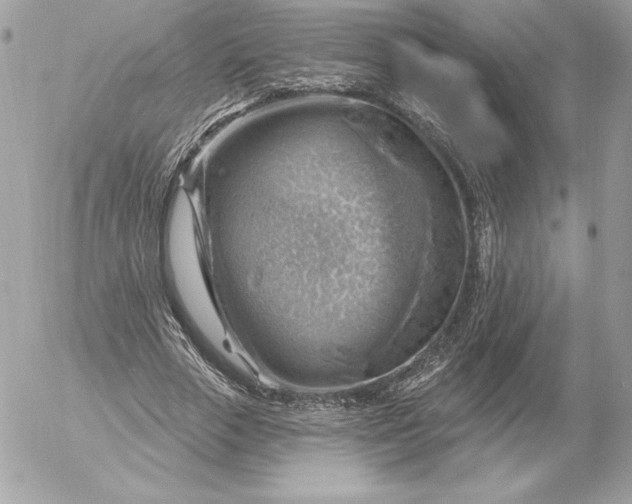 X0000052930729200507221121