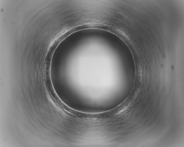 X0000052930730200507221121