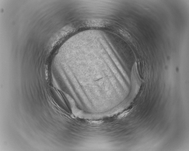 X0000052930731200507221121