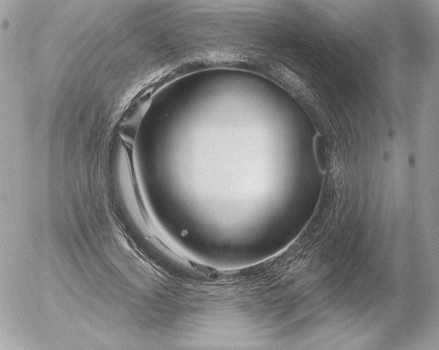 X0000052930732200507221121