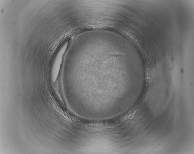 X0000052930733200507221121