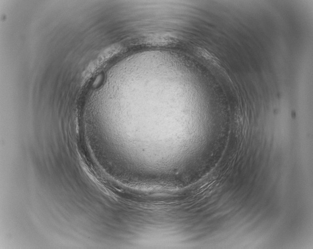 X0000052930734200507221121