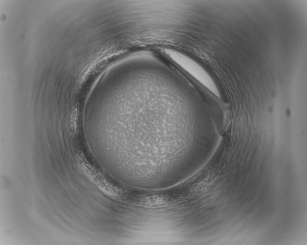 X0000052930735200507221121