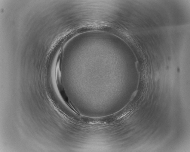 X0000052930736200507221121