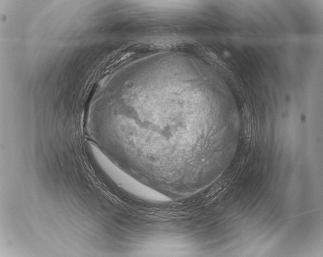 X0000052930737200507221121