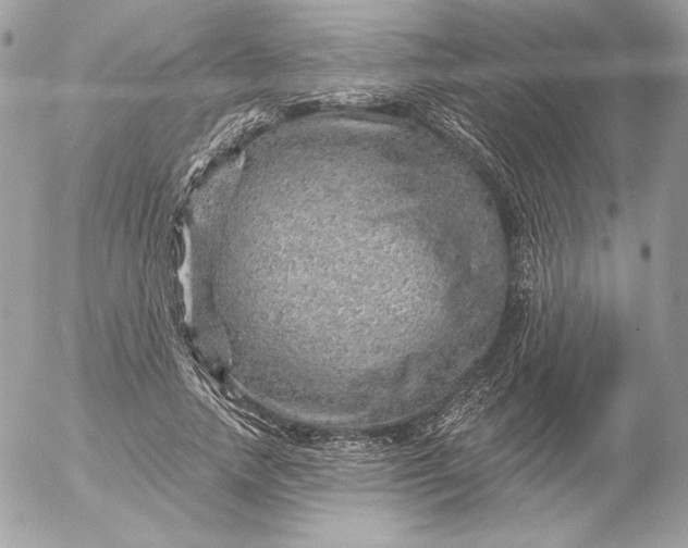 X0000052930738200507221121