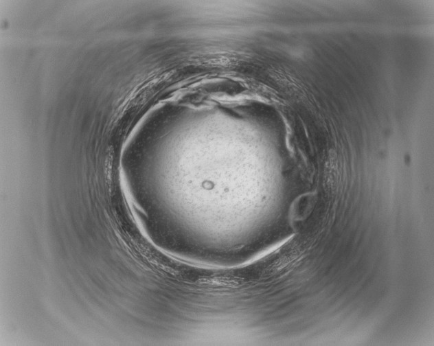 X0000052930739200507221121