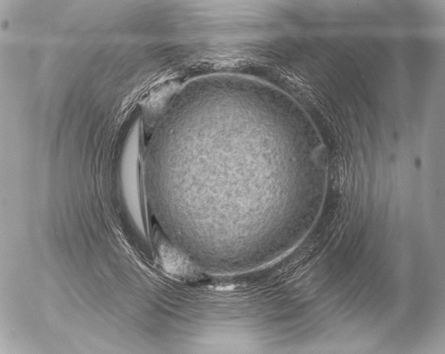 X0000052930740200507221121