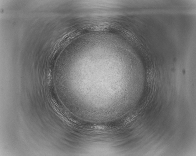 X0000052930741200507221121