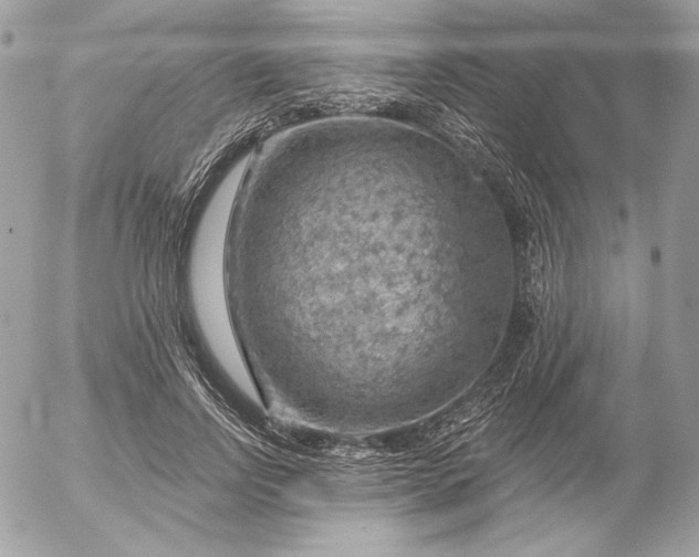 X0000052930742200507221121