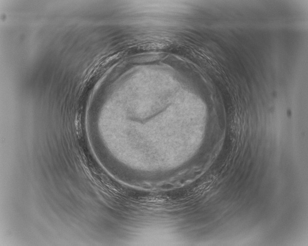 X0000052930743200507221121