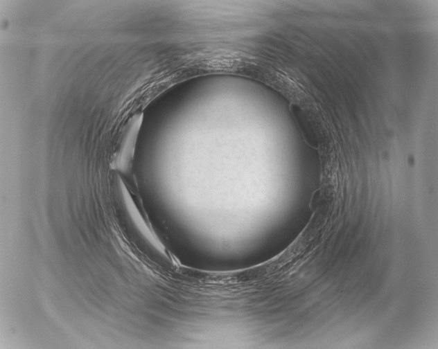 X0000052930744200507221121