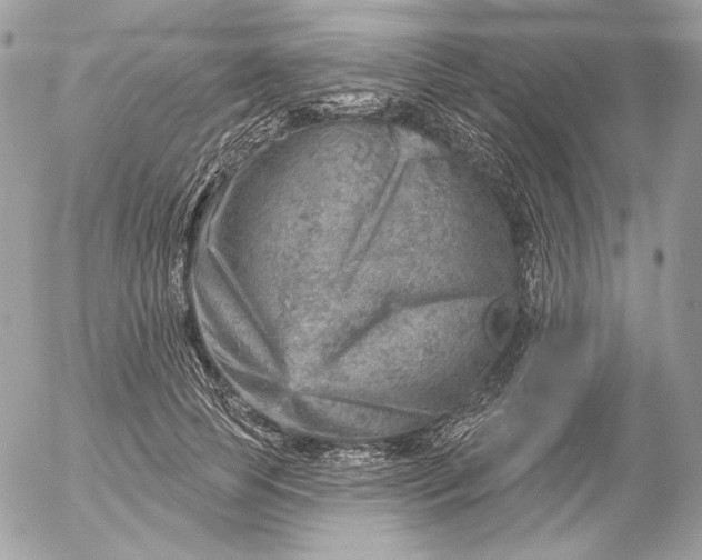 X0000052930745200507221121