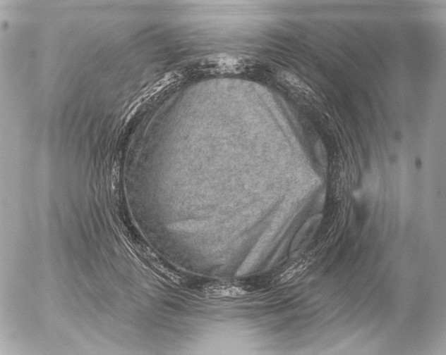 X0000052930747200507221121