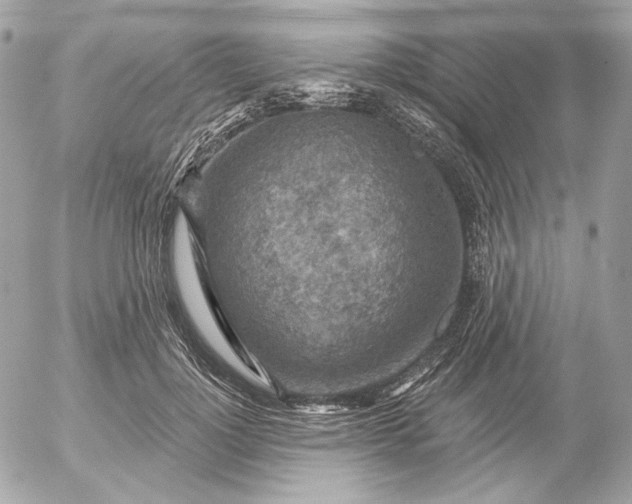 X0000052930748200507221121