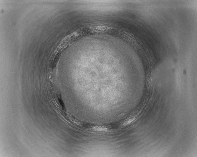 X0000052930749200507221121