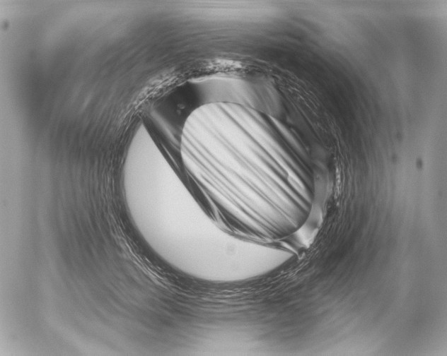 X0000052930750200507221121