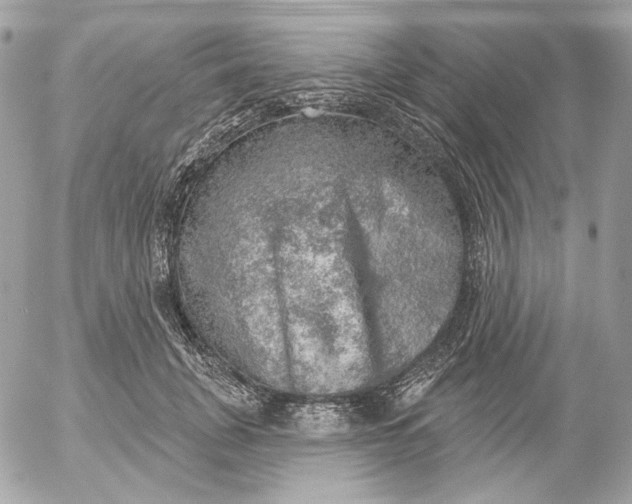 X0000052930751200507221121