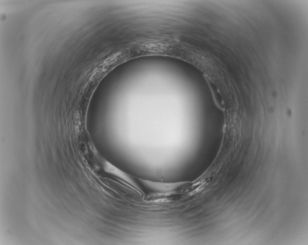 X0000052930752200507221121