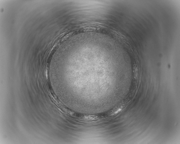 X0000052930753200507221121