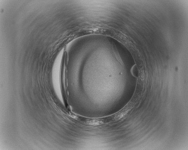 X0000052930754200507221121