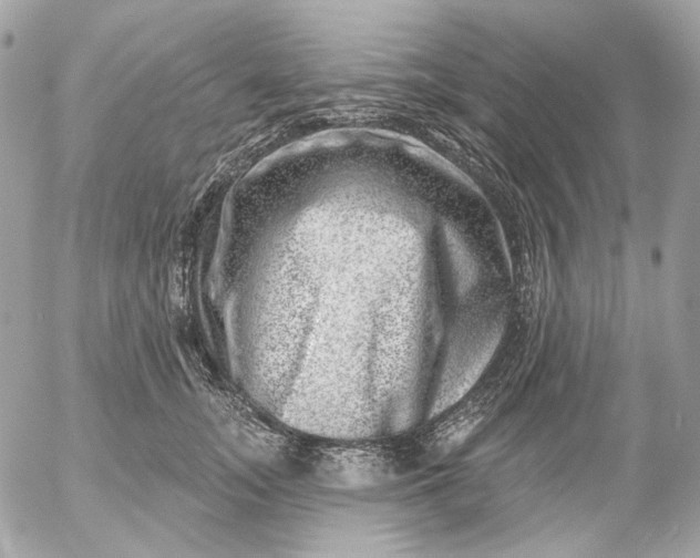 X0000052930755200507221121