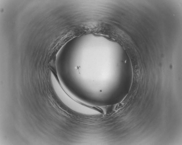 X0000052930756200507221121