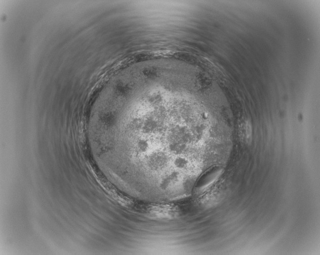 X0000052930757200507221121