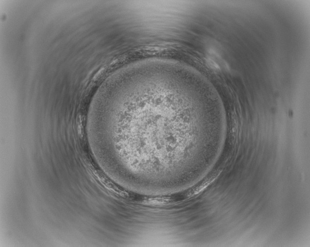 X0000052930758200507221121