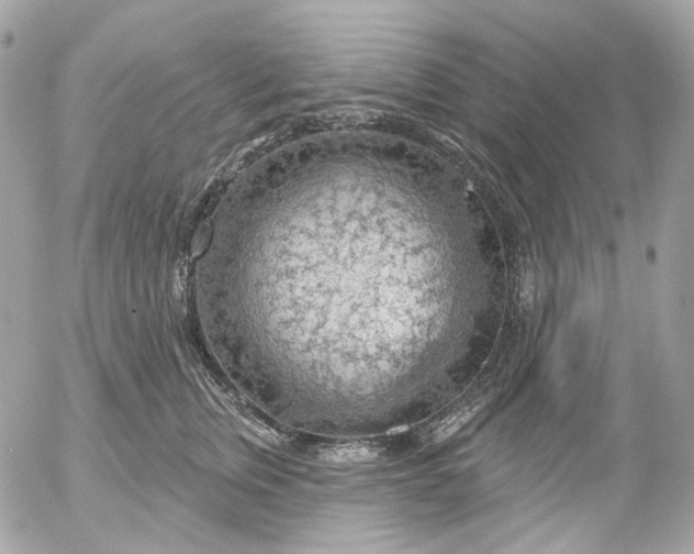 X0000052930759200507221121