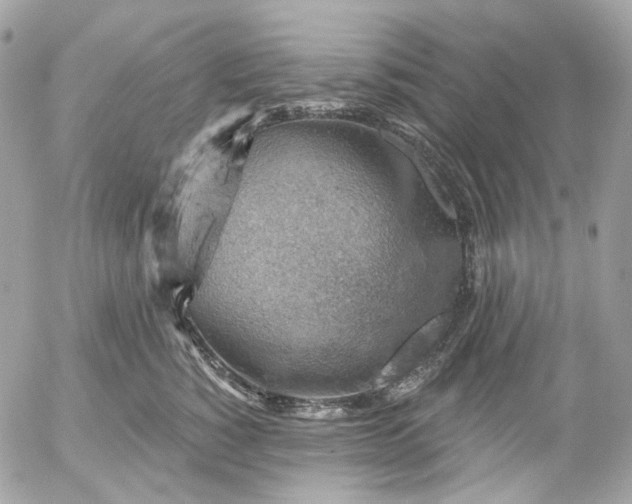 X0000052930760200507221121