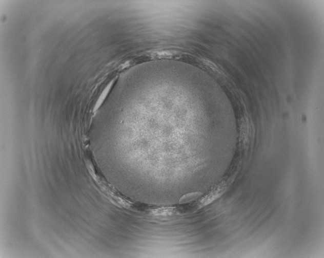 X0000052930761200507221121