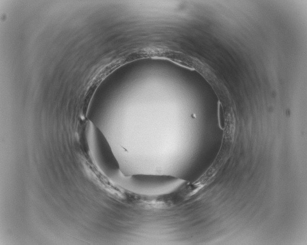 X0000052930762200507221121