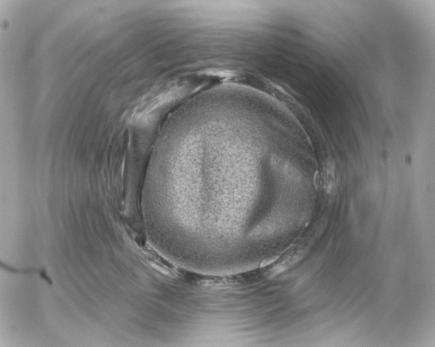 X0000052930763200507221121