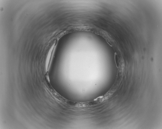 X0000052930764200507221121