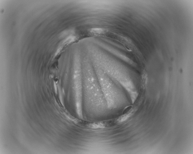 X0000052930765200507221121