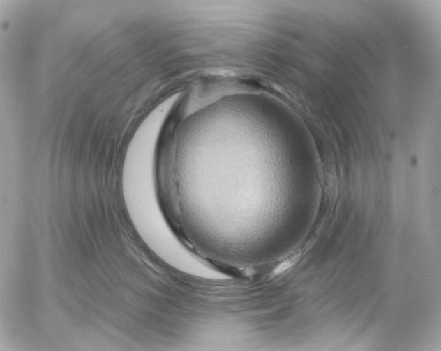 X0000052930766200507221121