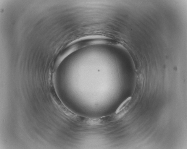 X0000052930767200507221121