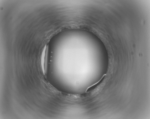 X0000052930768200507221121