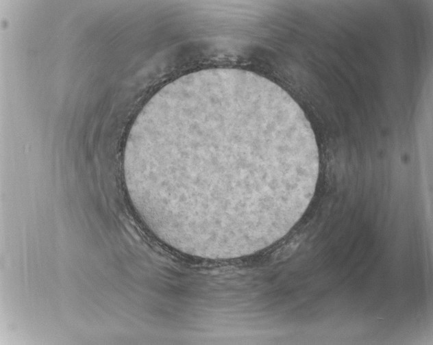 X0000052930769200507221121