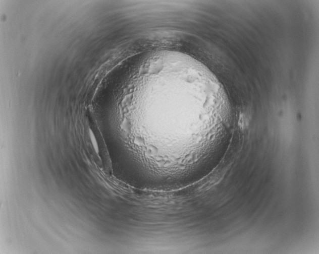 X0000052930771200507221120